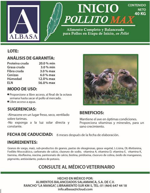 pollito1