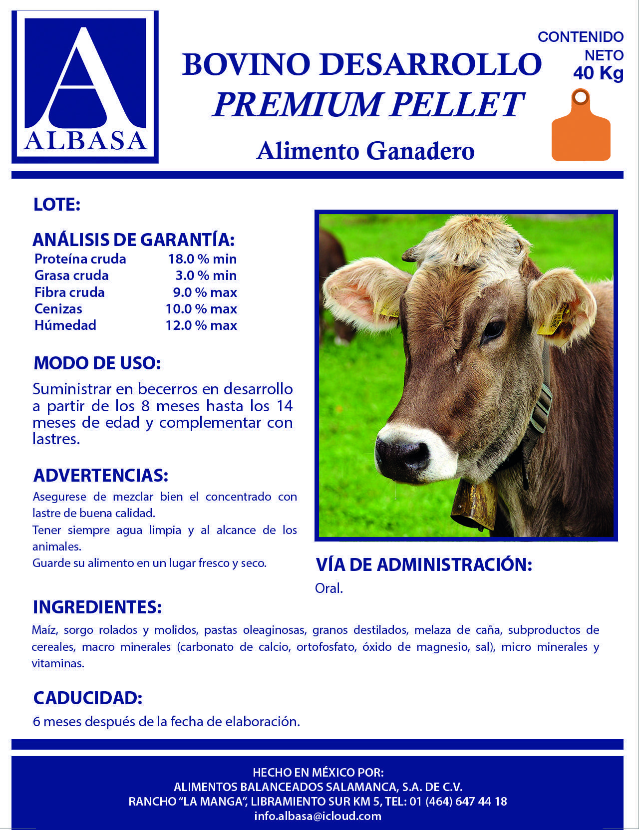 pollito1