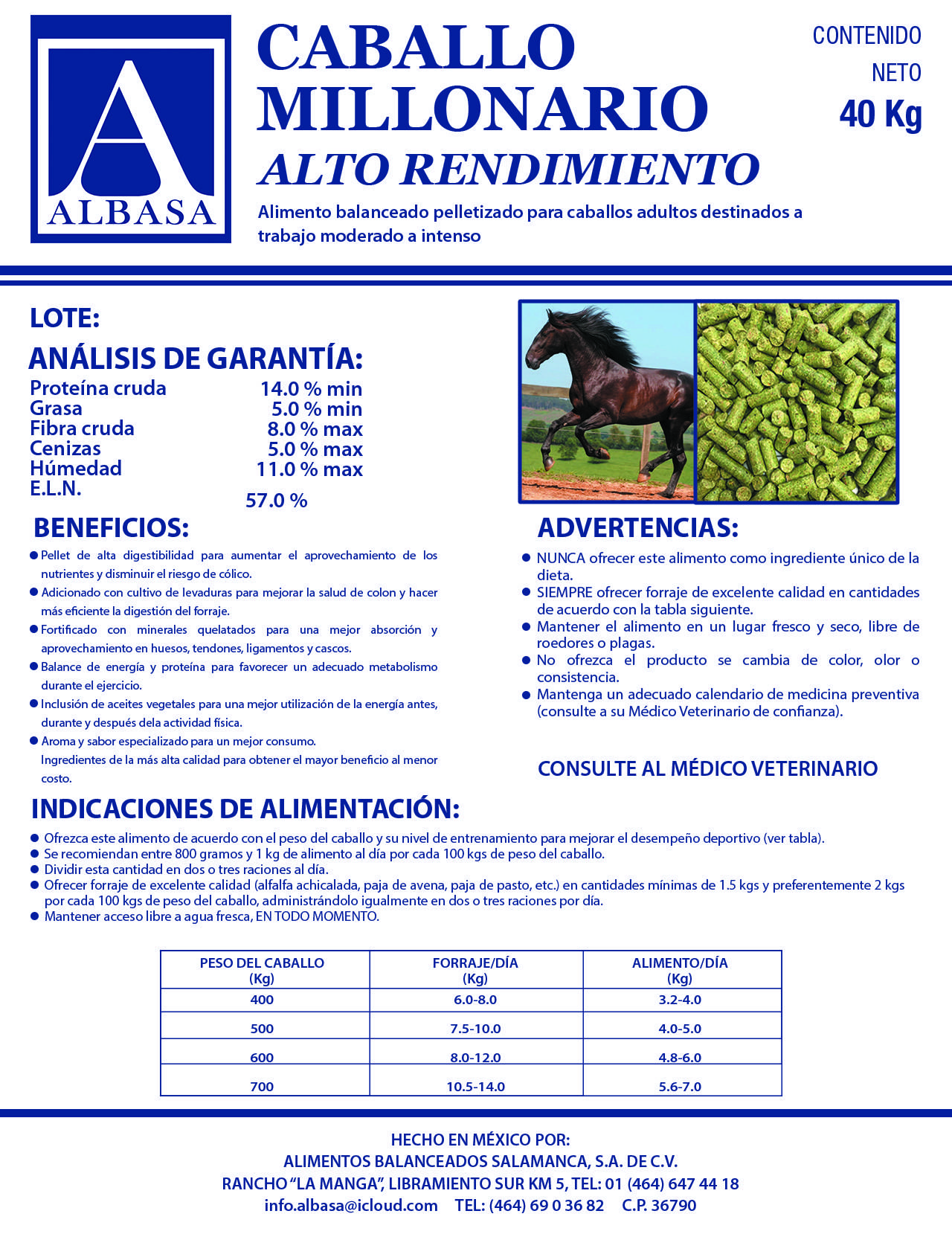pollito1