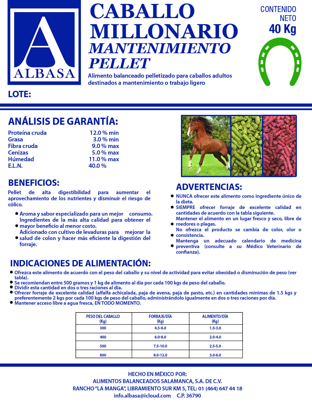 pollito1
