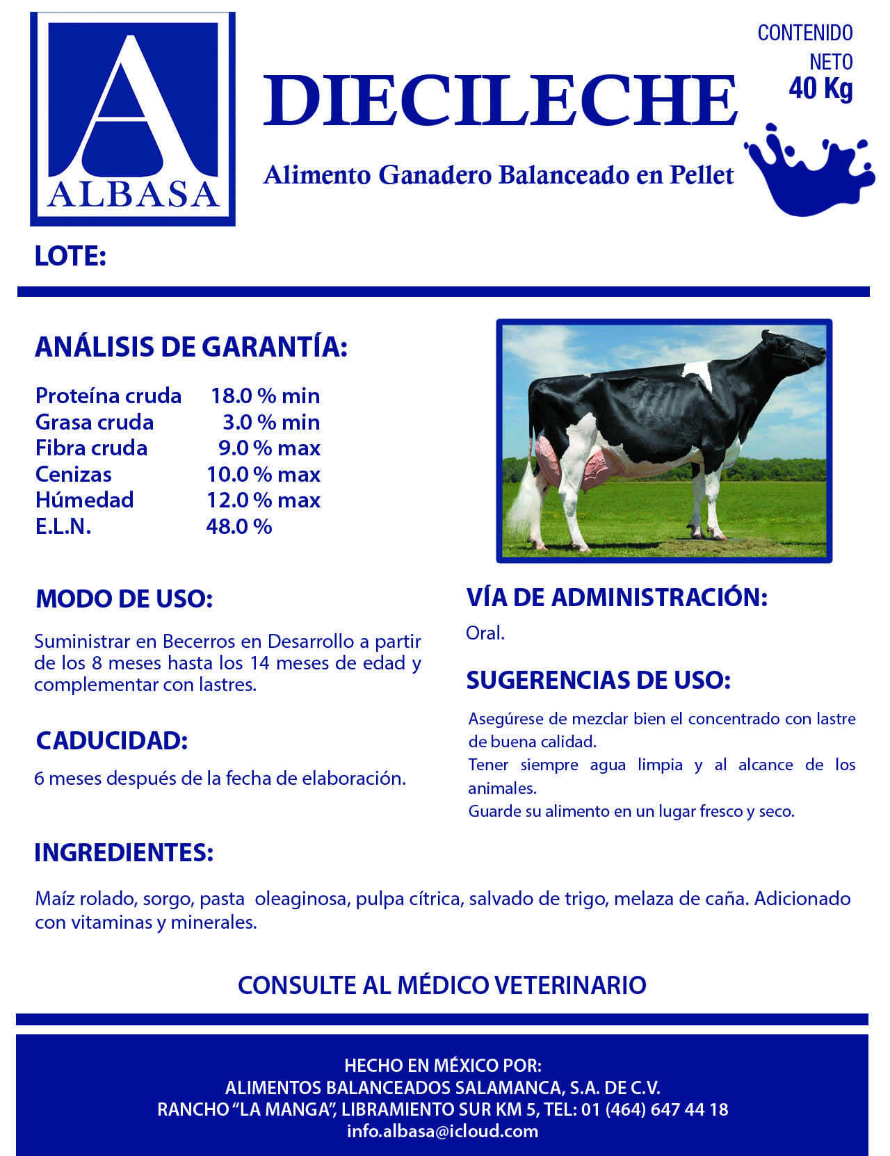 pollito1