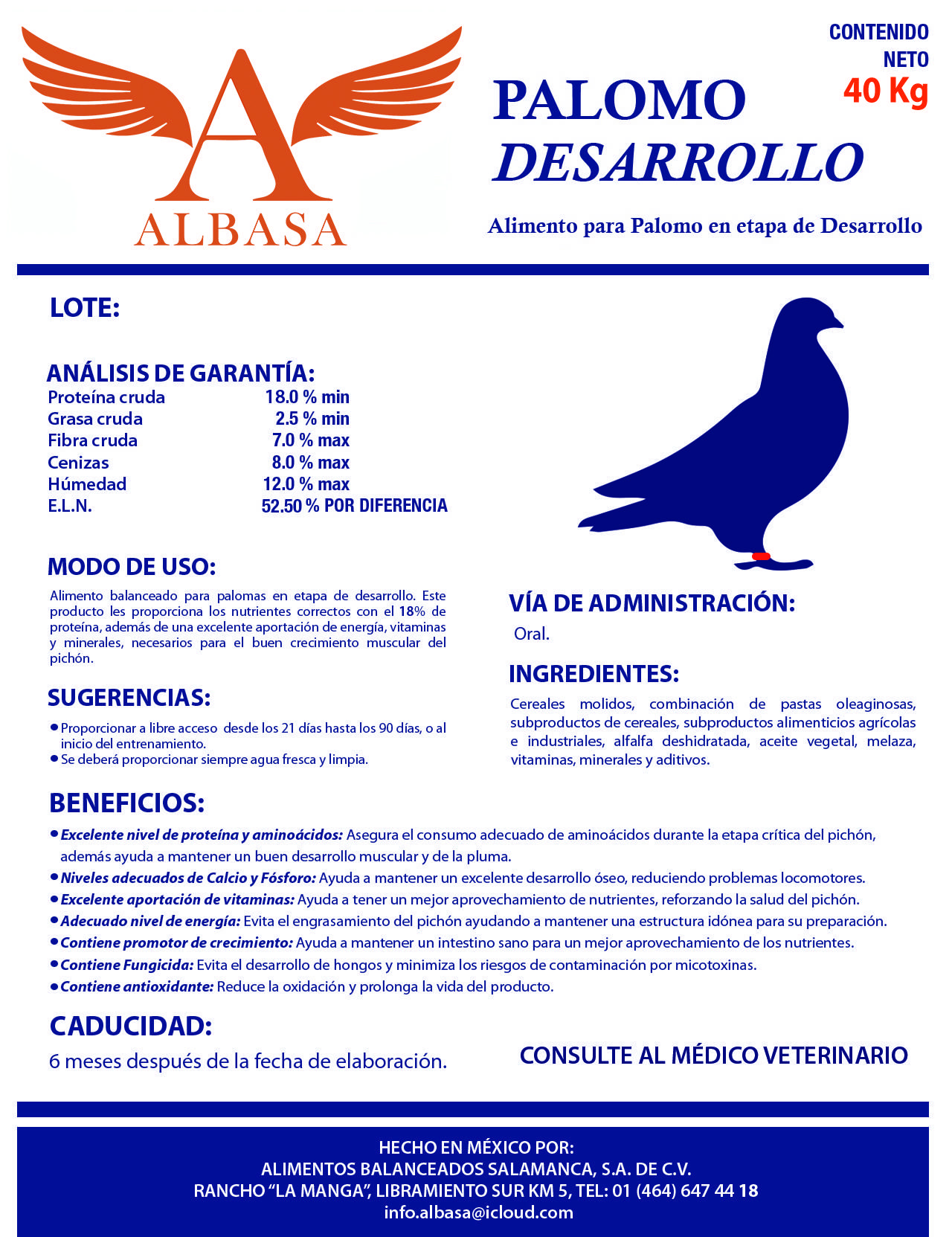 pollito1
