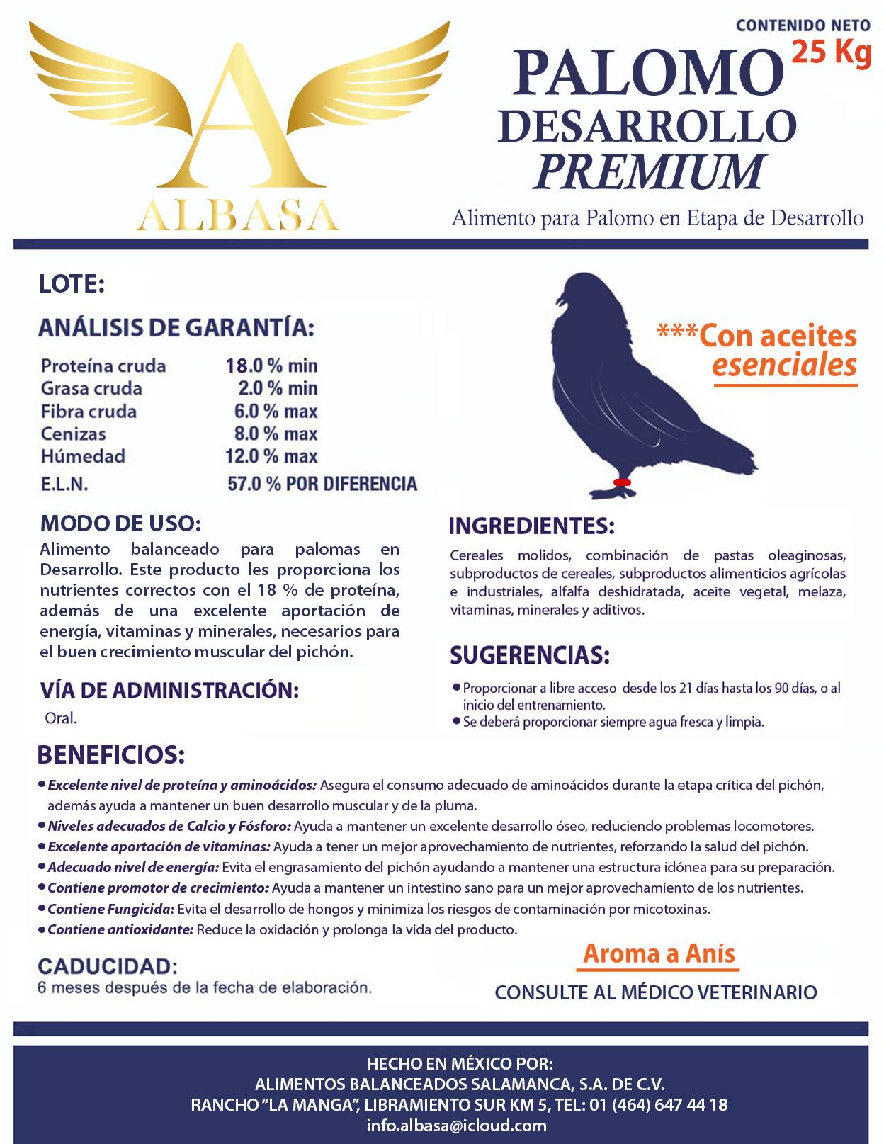 pollito1