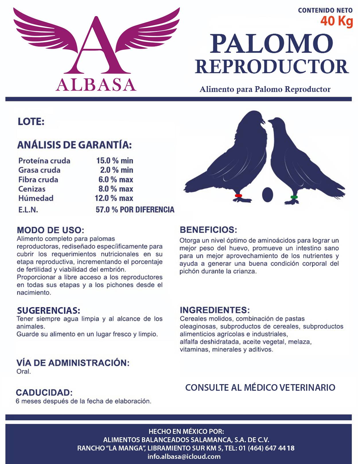pollito1