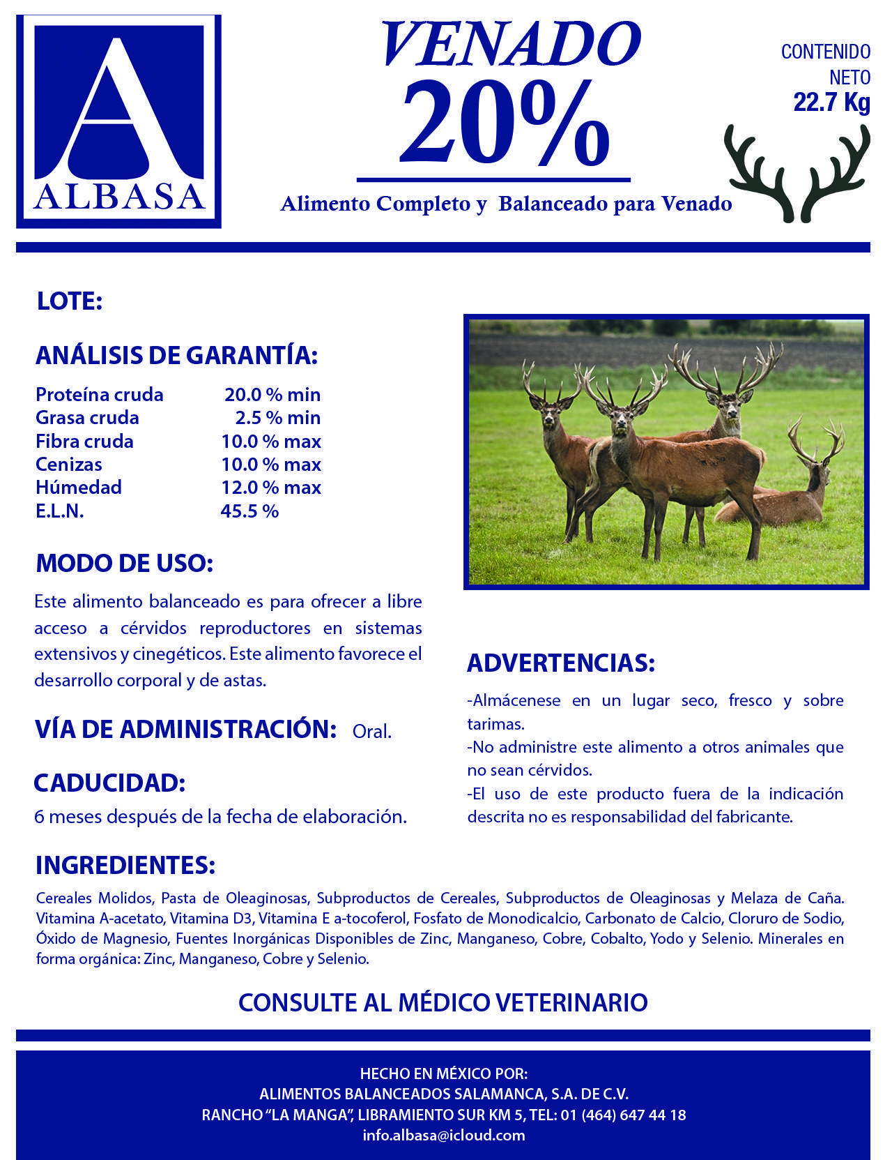 pollito1