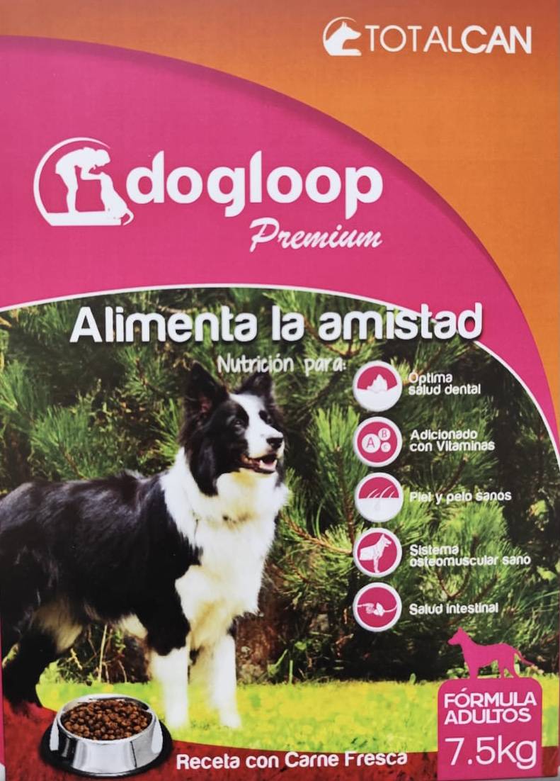 pollito1