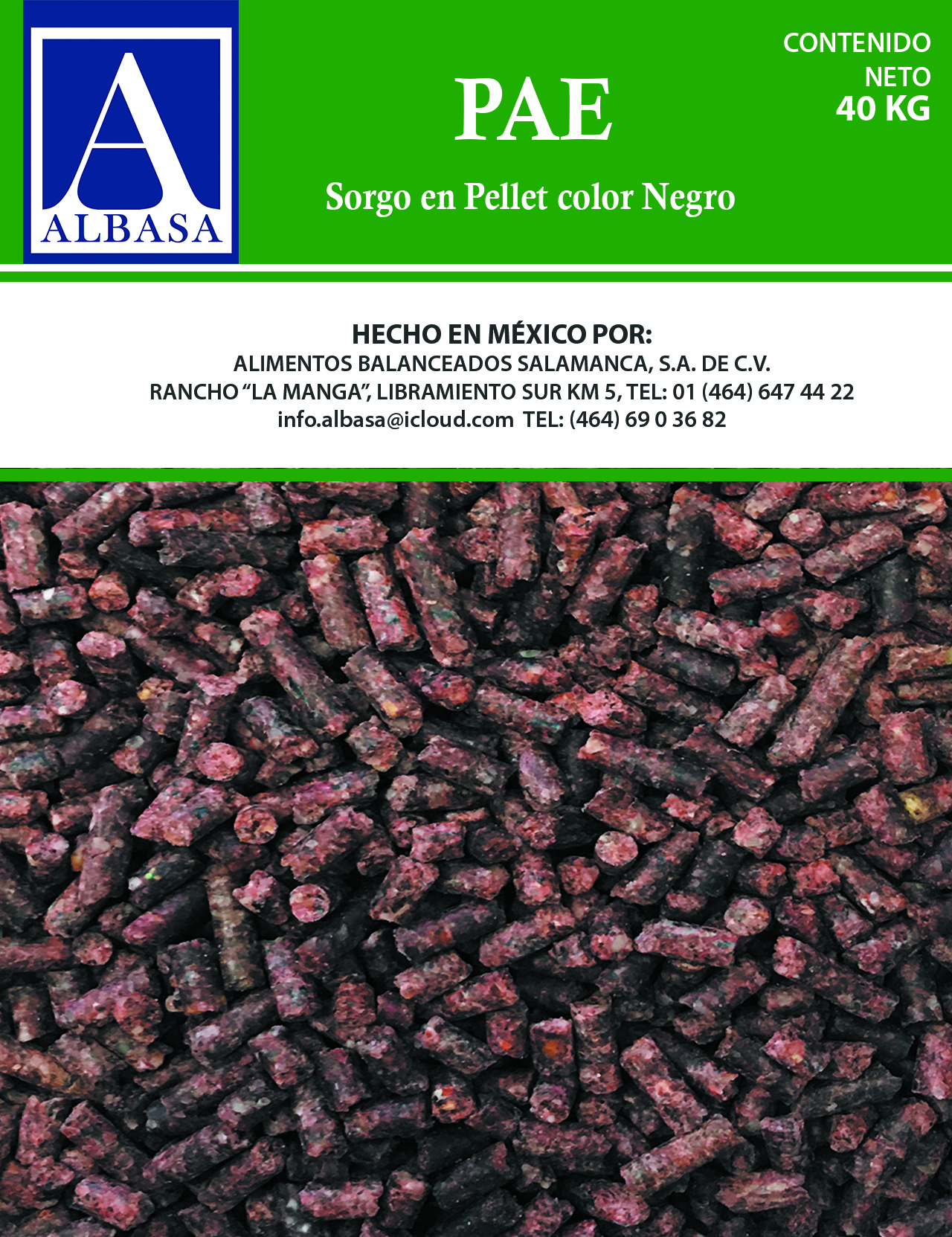 pollito1