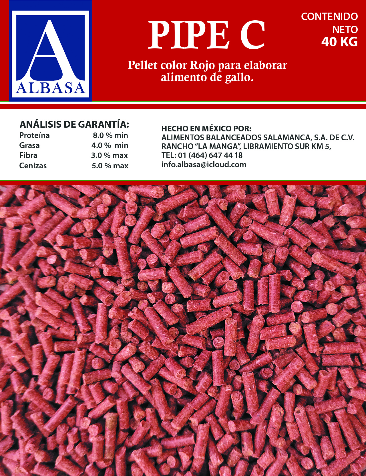 pollito1